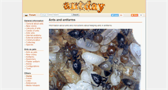 Desktop Screenshot of antday.com